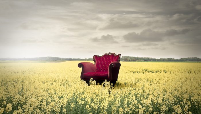 Red chair in a field of yellow flowers
