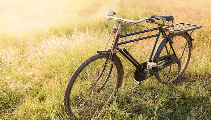 Vintage Bicycle with Summer grassfield