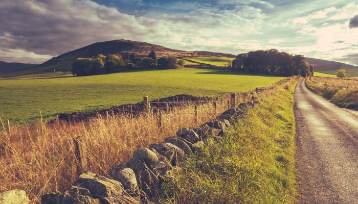 Country Road Or Lane And Dry Stone Wall Through Scottish Rural Lanscape At Dusk