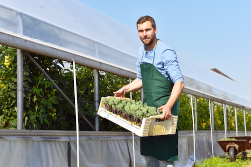 Looking to grow your rural business? Looking to grow your rural business?