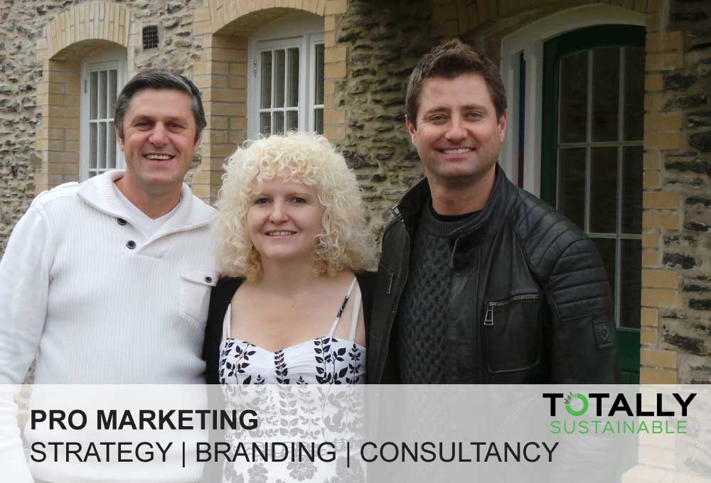 pro-marketing-consultancy-services