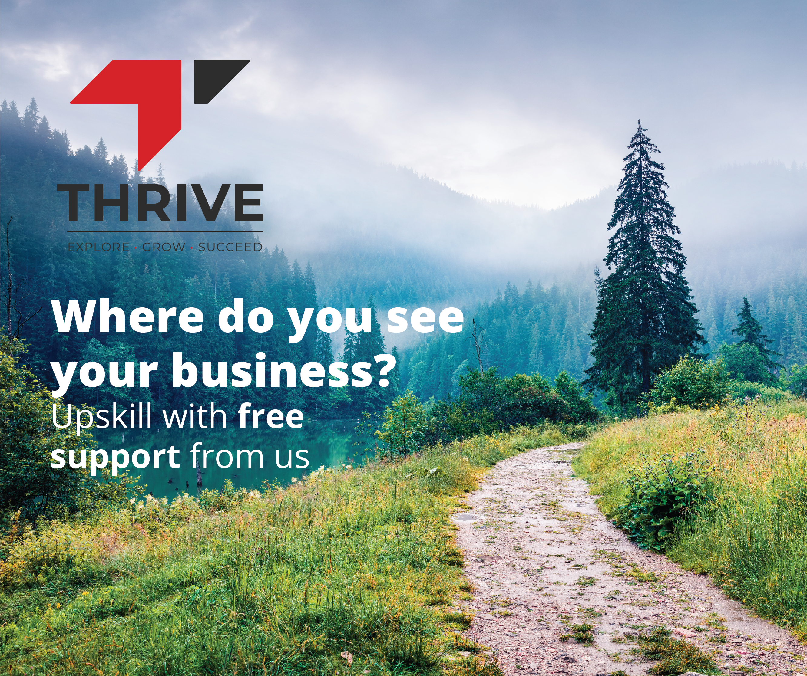 Where do you see your business? Webpage The Thrive Project Webpage Image1